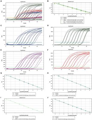 Simultaneous detection of infectious bronchitis virus and avian metapneumovirus genotypes A, B, and C by multiplex RT-qPCR assay in chicken tracheal samples in Ecuador